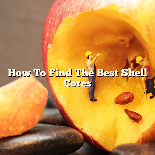 How To Find The Best Shell Cores