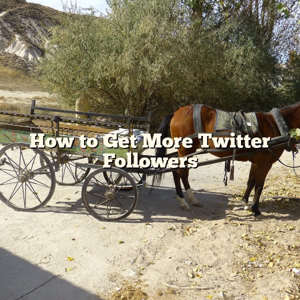 How to Get More Twitter Followers