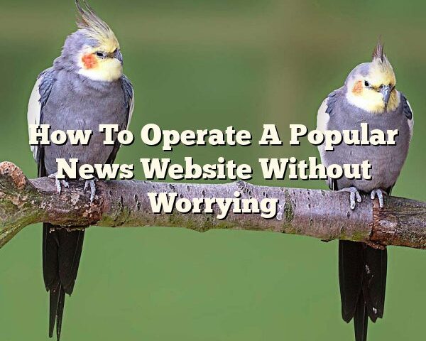 How To Operate A Popular News Website Without Worrying