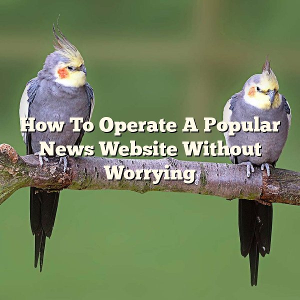 How To Operate A Popular News Website Without Worrying