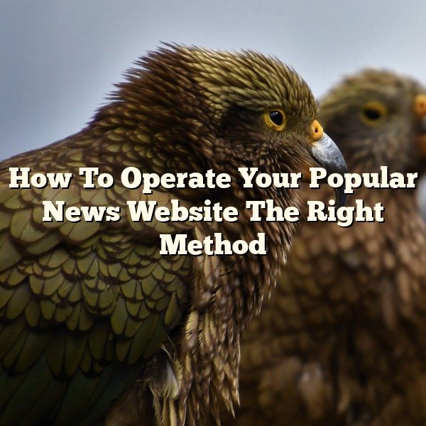 How To Operate Your Popular News Website The Right Method