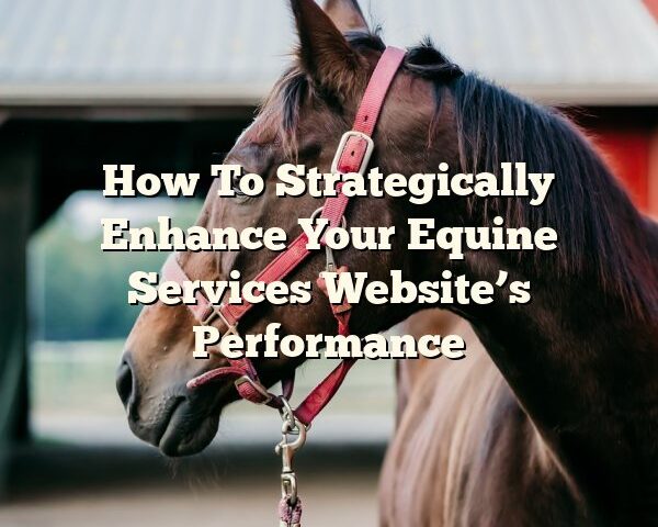 How To Strategically Enhance Your Equine Services Website’s Performance