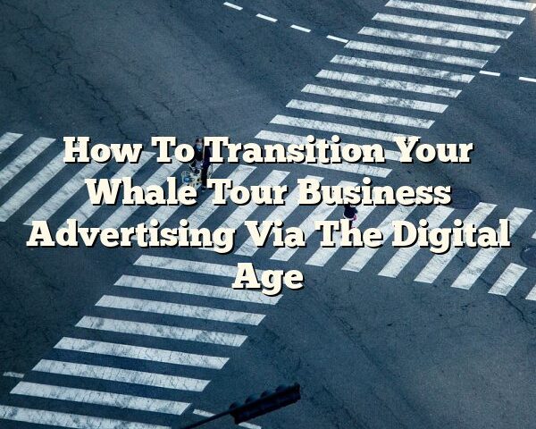 How To Transition Your Whale Tour Business Advertising Via The Digital Age