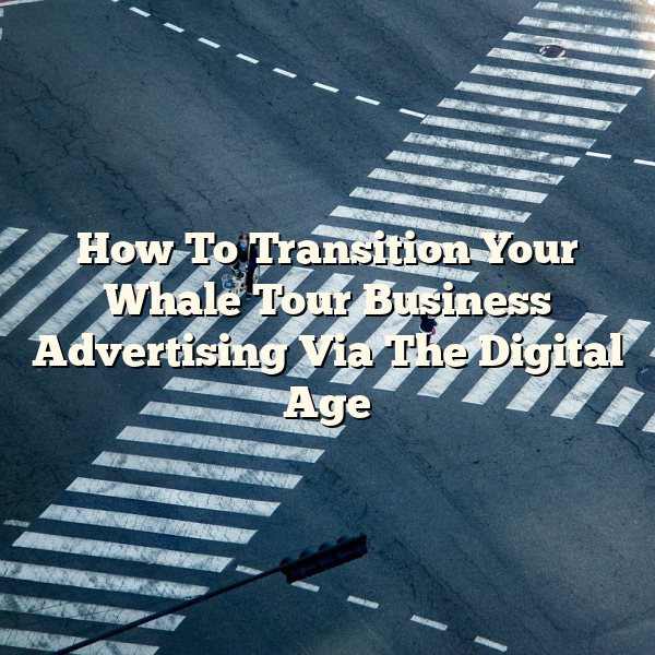 How To Transition Your Whale Tour Business Advertising Via The Digital Age