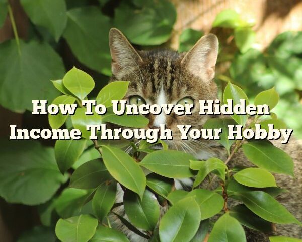 How To Uncover Hidden Income Through Your Hobby