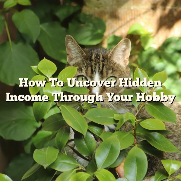 How To Uncover Hidden Income Through Your Hobby