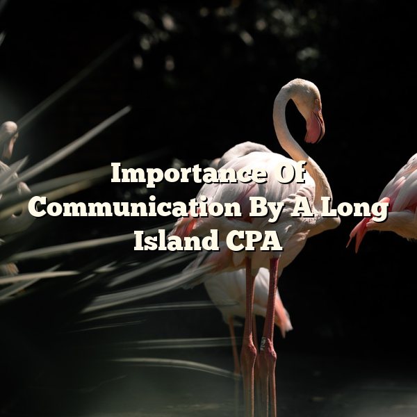 Importance Of Communication By A Long Island CPA