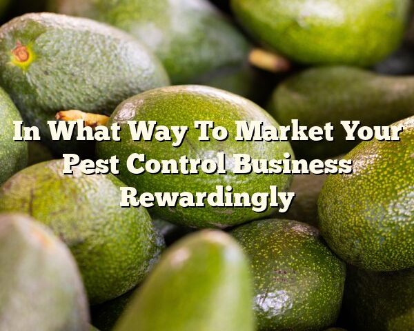 In What Way To Market Your Pest Control Business Rewardingly