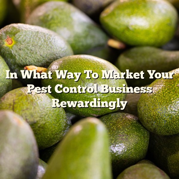 In What Way To Market Your Pest Control Business Rewardingly