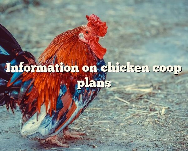 Information on	chicken coop plans