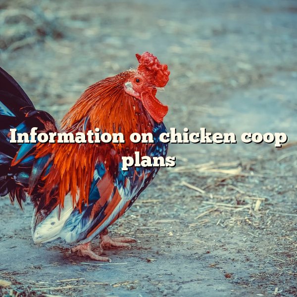 Information on	chicken coop plans