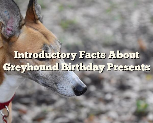 Introductory Facts About Greyhound Birthday Presents