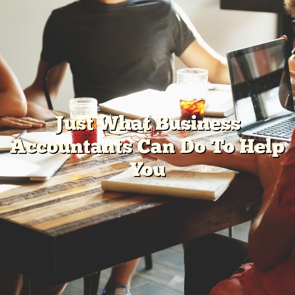 Just What Business Accountants Can Do To Help You