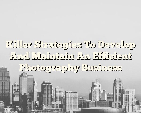 Killer Strategies To Develop And Maintain An Efficient Photography Business