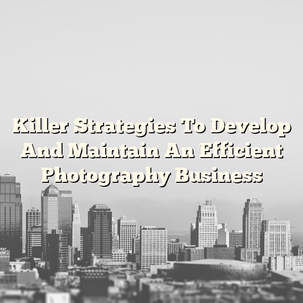 Killer Strategies To Develop And Maintain An Efficient Photography Business