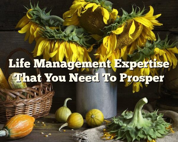 Life Management Expertise That You Need To Prosper