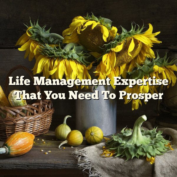 Life Management Expertise That You Need To Prosper