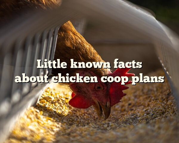 Little known facts about	chicken coop plans