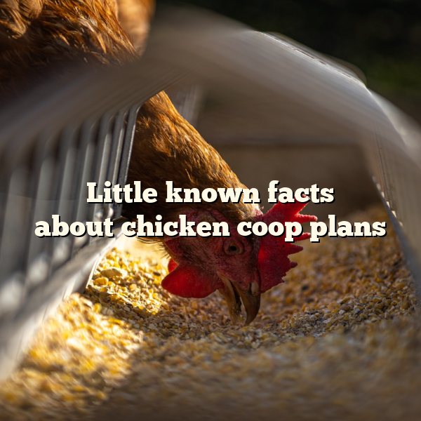 Little known facts about	chicken coop plans