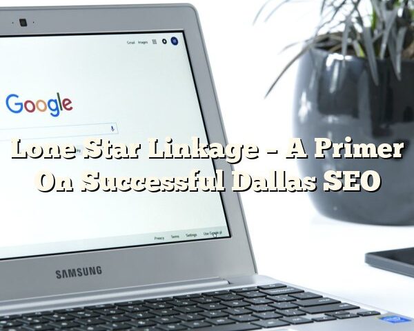 Lone Star Linkage – A Primer On Successful Dallas SEO