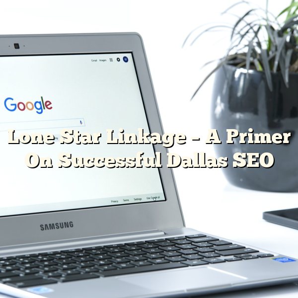 Lone Star Linkage – A Primer On Successful Dallas SEO