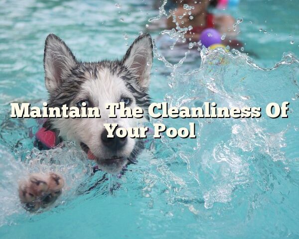 Maintain The Cleanliness Of Your Pool