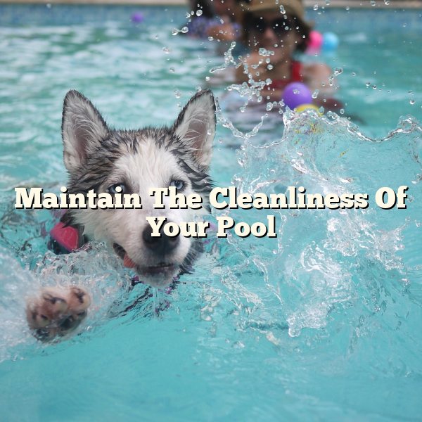 Maintain The Cleanliness Of Your Pool