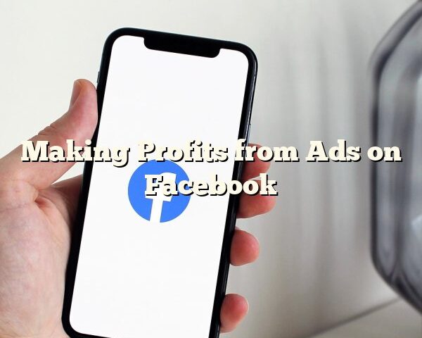 Making Profits from Ads on Facebook