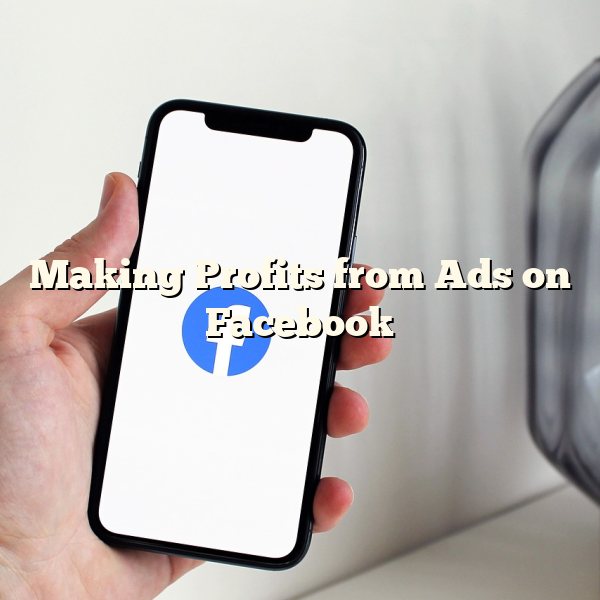 Making Profits from Ads on Facebook