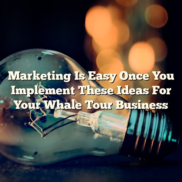 Marketing Is Easy Once You Implement These Ideas For Your Whale Tour Business