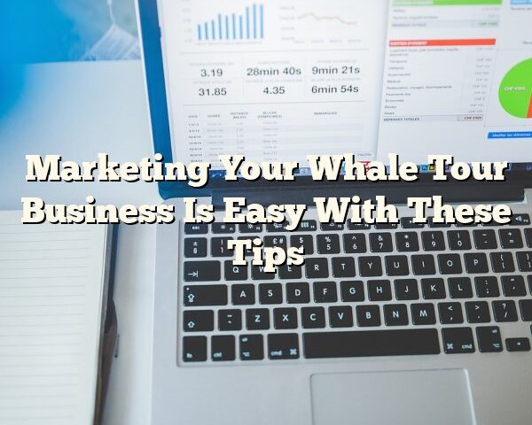 Marketing Your Whale Tour Business Is Easy With These Tips