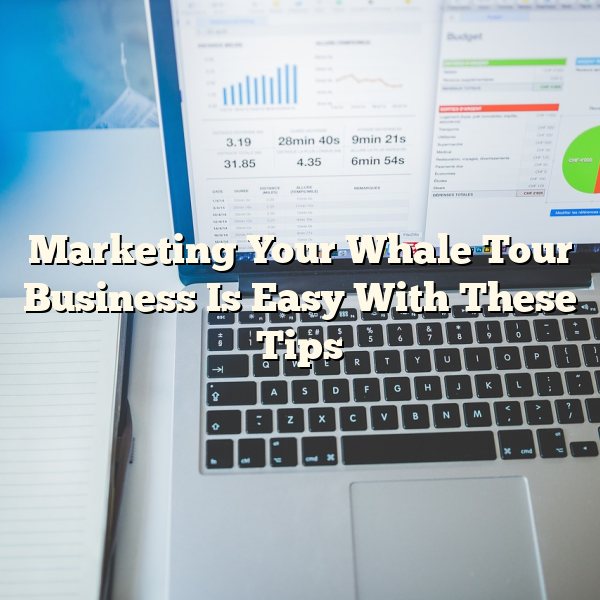 Marketing Your Whale Tour Business Is Easy With These Tips