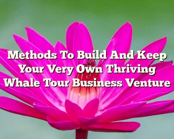 Methods To Build And Keep Your Very Own Thriving Whale Tour Business Venture