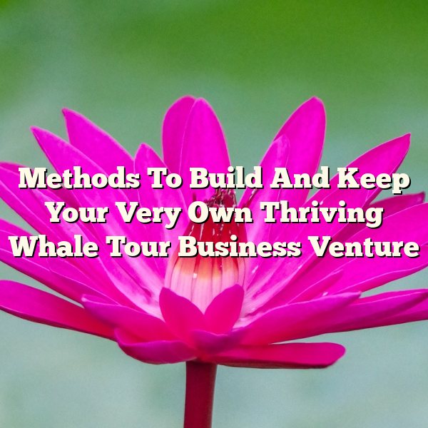 Methods To Build And Keep Your Very Own Thriving Whale Tour Business Venture