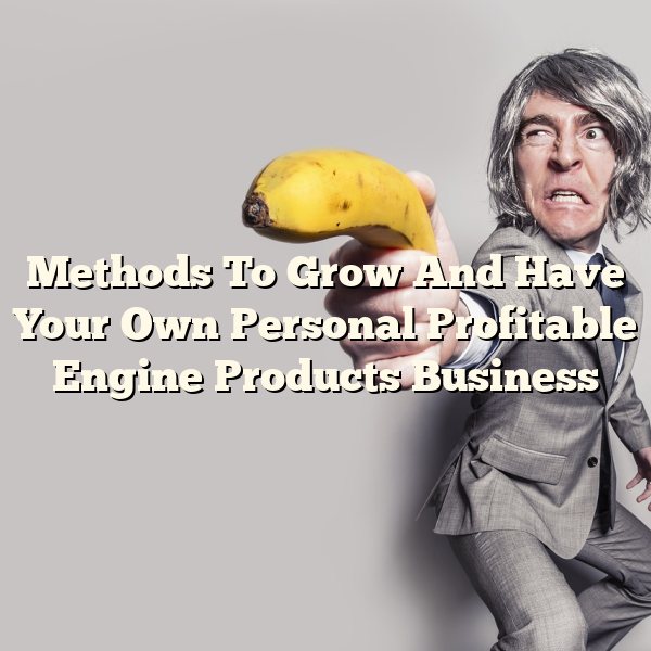 Methods To Grow And Have Your Own Personal Profitable Engine Products Business