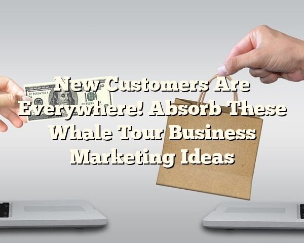 New Customers Are Everywhere! Absorb These Whale Tour Business Marketing Ideas