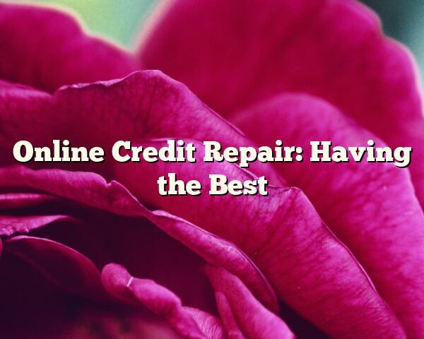 Online Credit Repair: Having the Best