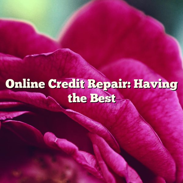 Online Credit Repair: Having the Best