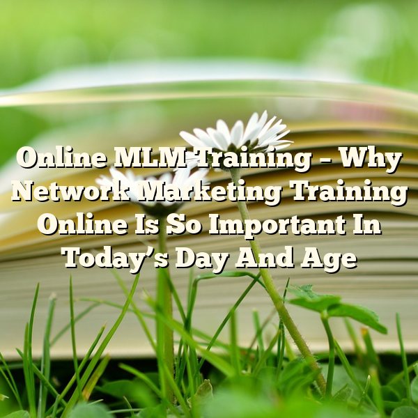 Online MLM Training – Why Network Marketing Training Online Is So Important In Today’s Day And Age