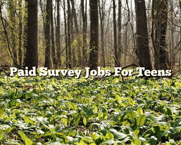 Paid Survey Jobs For Teens