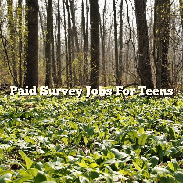 Paid Survey Jobs For Teens