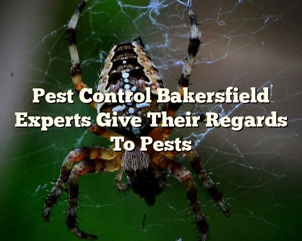 Pest Control Bakersfield Experts Give Their Regards To Pests