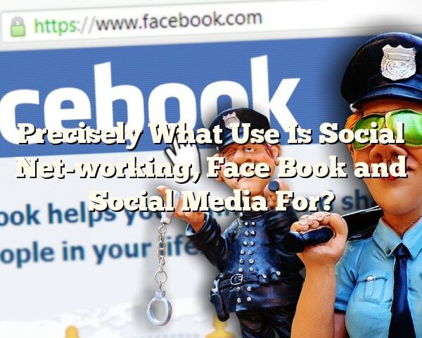 Precisely What Use Is Social Net-working, Face Book and Social Media For?