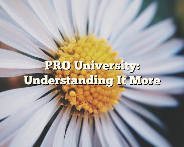 PRO University: Understanding It More