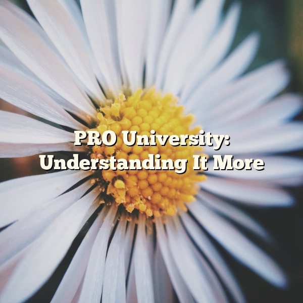 PRO University: Understanding It More