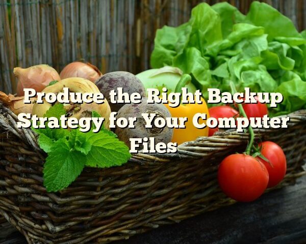 Produce the Right Backup Strategy for Your Computer Files