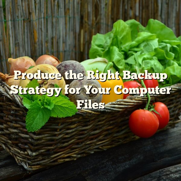 Produce the Right Backup Strategy for Your Computer Files