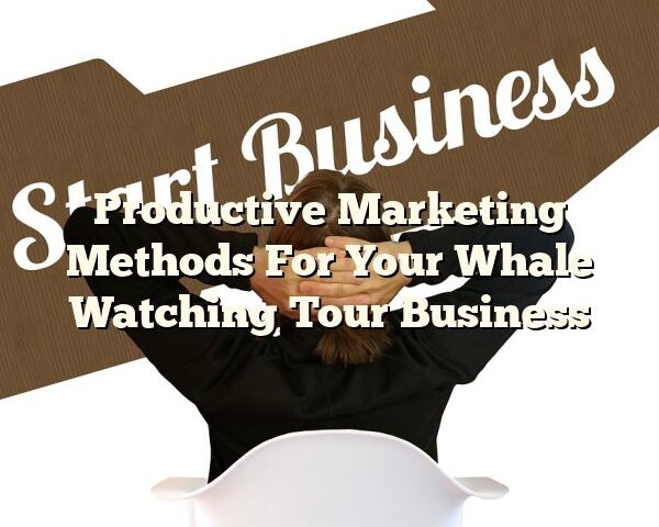 Productive Marketing Methods For Your Whale Watching Tour Business