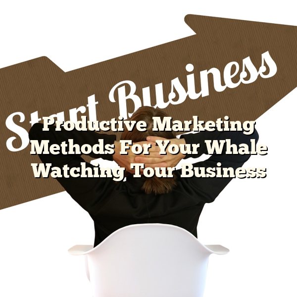 Productive Marketing Methods For Your Whale Watching Tour Business