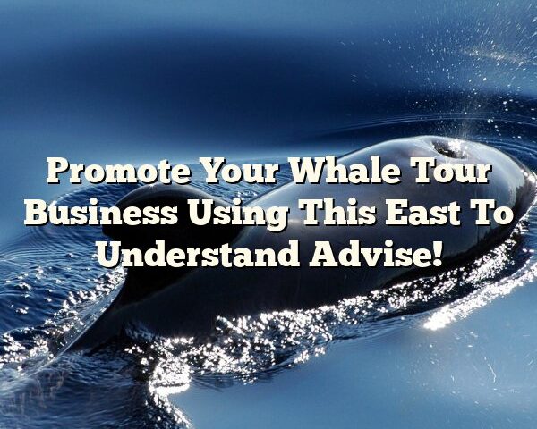 Promote Your Whale Tour Business Using This East To Understand Advise!